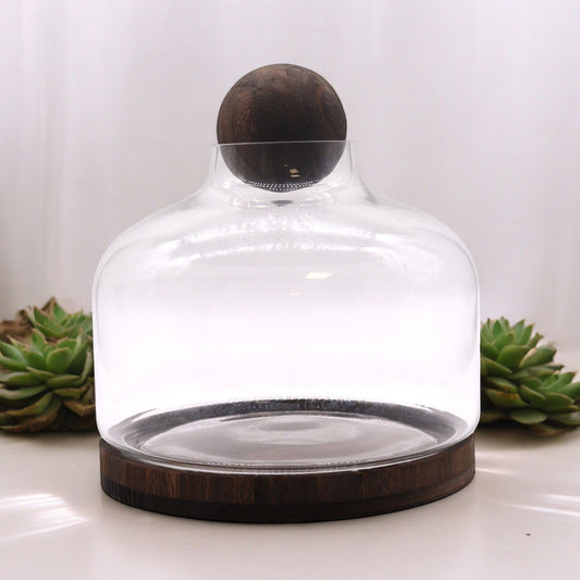 Ex-Large Ball Top Terrarium on Dark Tung Wood