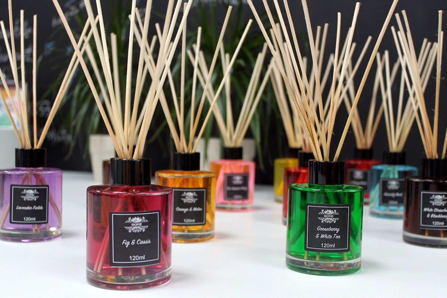 120ml Reed Diffuser - Gooseberry & White Tea