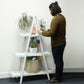 Folding Wooden A-Frame Shelf – Whitewash