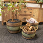 Cotton & Seagrass Large Baskets - Natural Black & Green- Set of 3