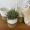 Seagrass Storage Basket Set